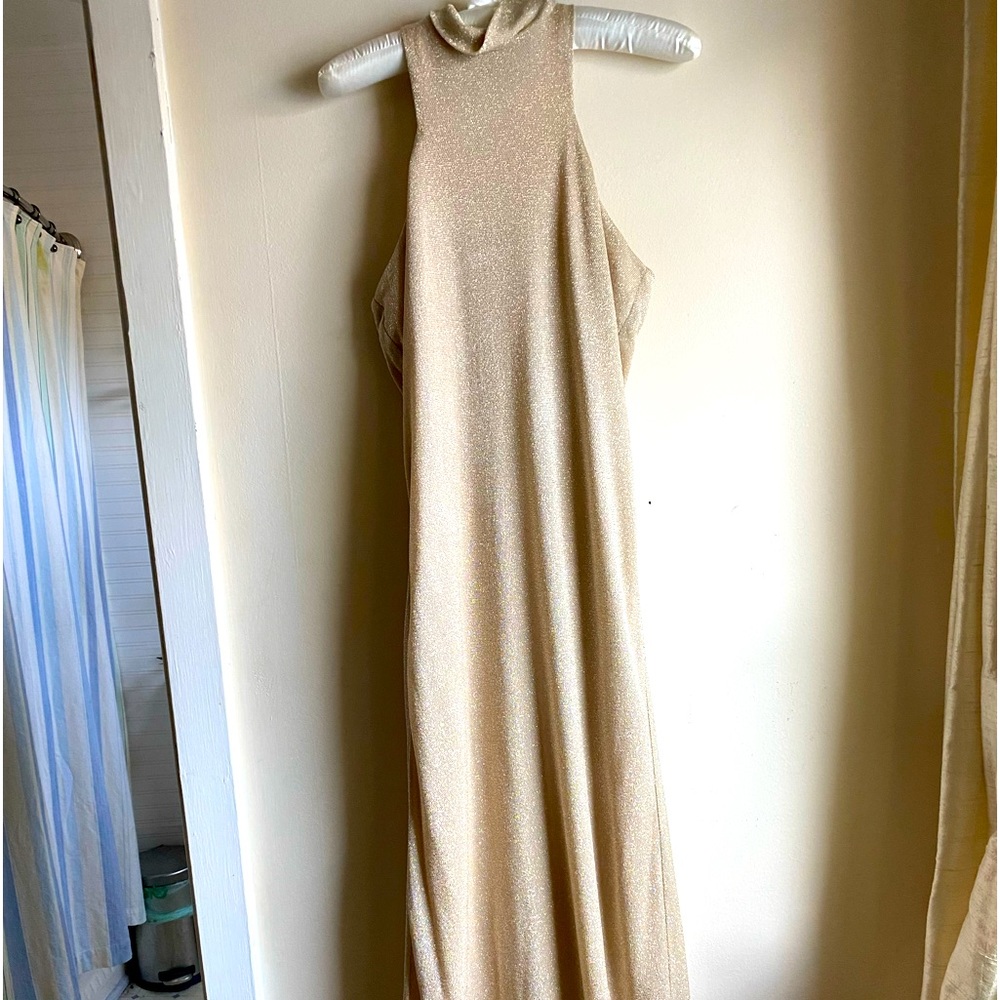 Richard Buscati Collection floor length racer cut, mock neck, glittery gold gown